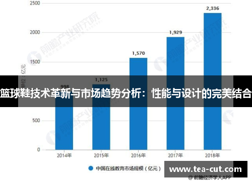 篮球鞋技术革新与市场趋势分析：性能与设计的完美结合