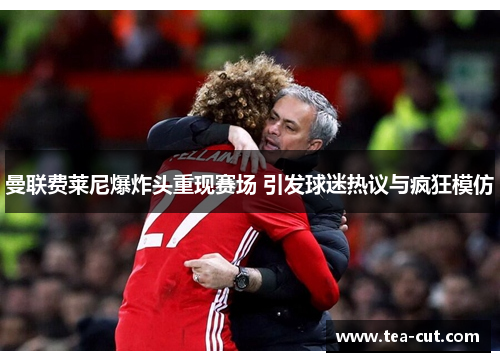 曼联费莱尼爆炸头重现赛场 引发球迷热议与疯狂模仿