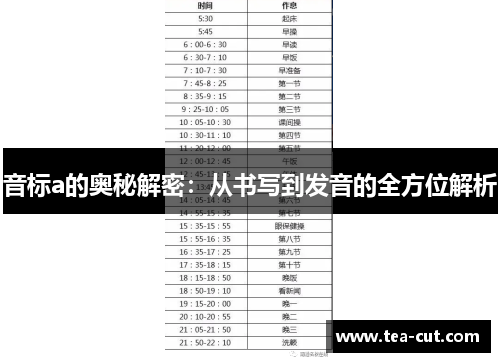 音标a的奥秘解密：从书写到发音的全方位解析